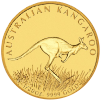 Australian Kangaroo