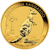 Australian Kangaroo